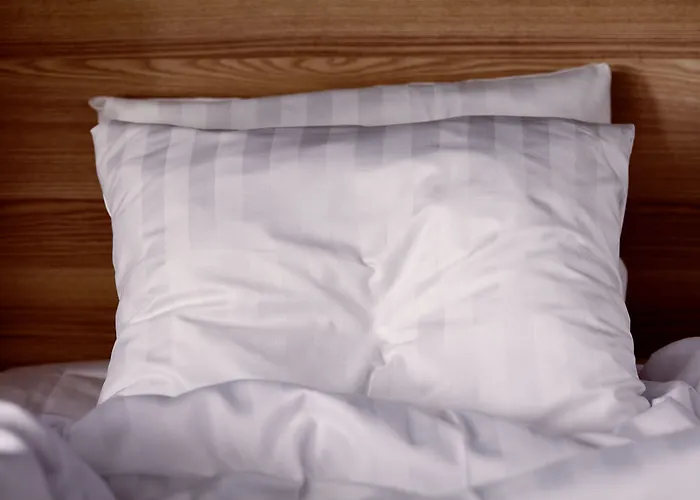 Vierumaeki 호텔 3*